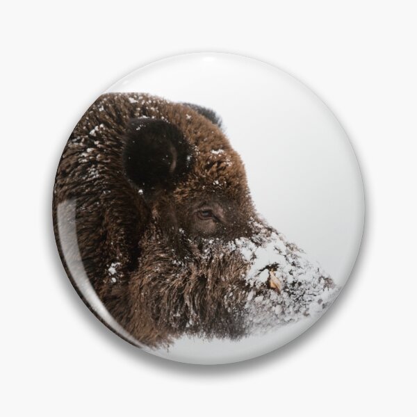 Item preview, Boar head, wild boar designed and sold by Ingo Gerlach.