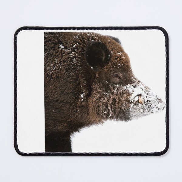 Item preview, Boar head, wild boar designed and sold by Ingo Gerlach.