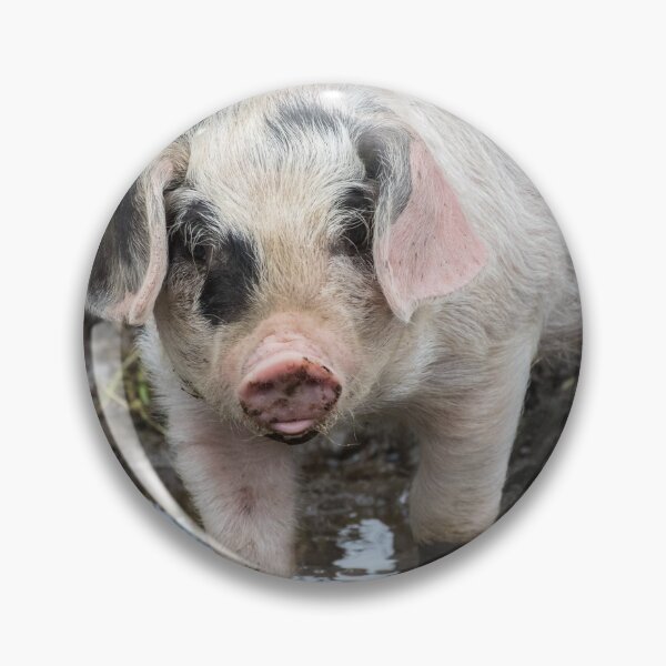 Item preview, Piglets designed and sold by LaurenTucker.
