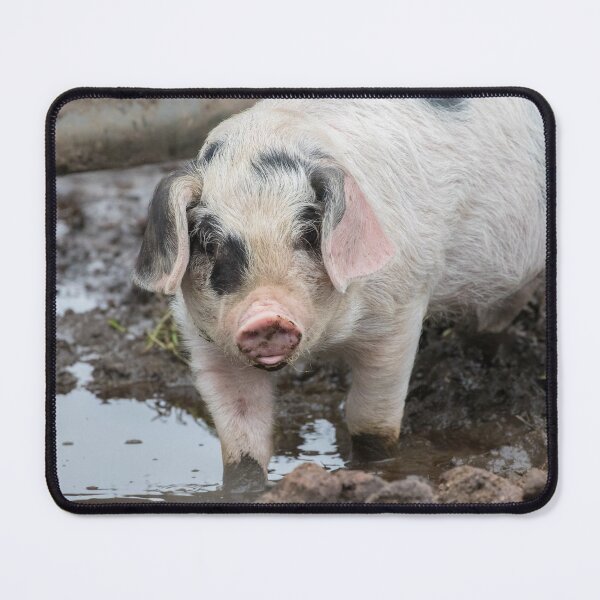 Item preview, Piglets designed and sold by LaurenTucker.