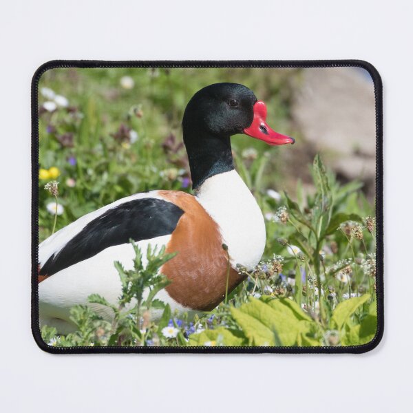 Item preview, Shelduck designed and sold by LaurenTucker.