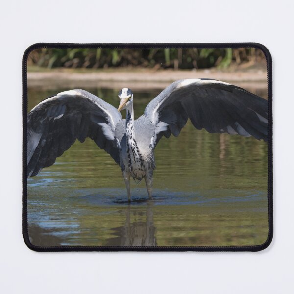 Item preview, Grey Heron designed and sold by LaurenTucker.