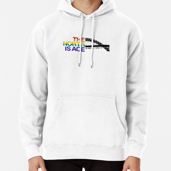 North face hot sale flag hoodie