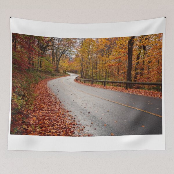 Item preview, Autumn Road designed and sold by J. S. Wolf Photography.
