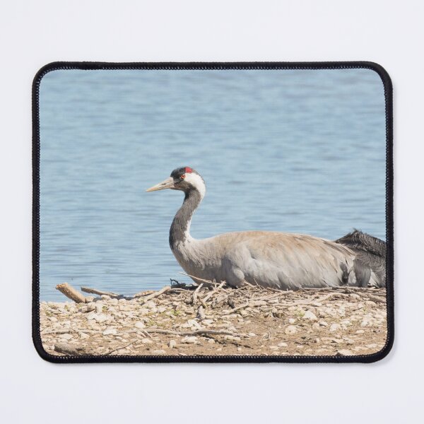 Item preview, Common Crane designed and sold by LaurenTucker.
