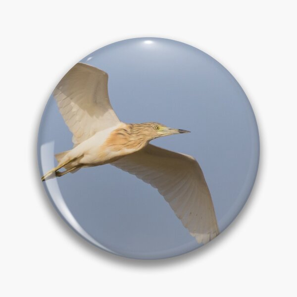 Item preview, Squacco Heron designed and sold by LaurenTucker.
