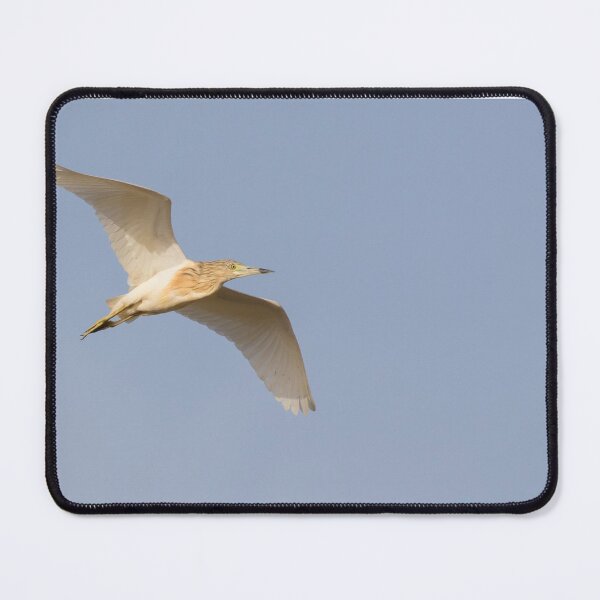 Item preview, Squacco Heron designed and sold by LaurenTucker.