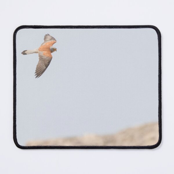 Item preview, Lesser Kestrel designed and sold by LaurenTucker.