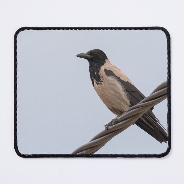 Item preview, Hooded Crow designed and sold by LaurenTucker.