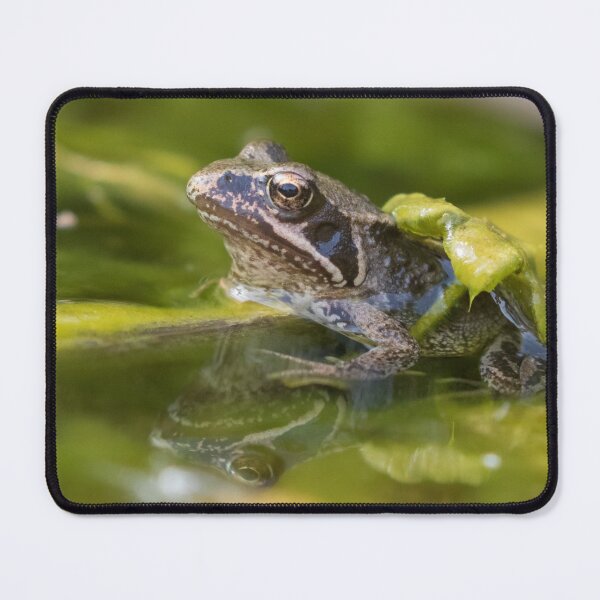Item preview, Common Froglet designed and sold by LaurenTucker.