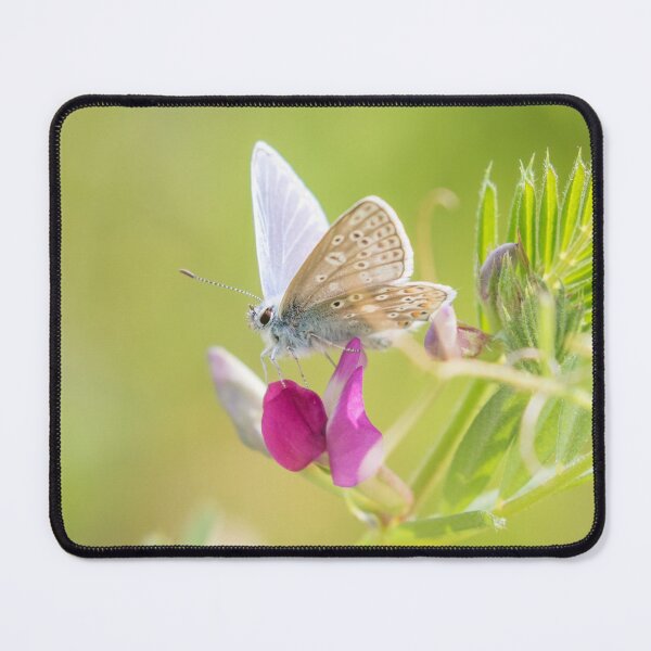 Item preview, Common Blue designed and sold by LaurenTucker.