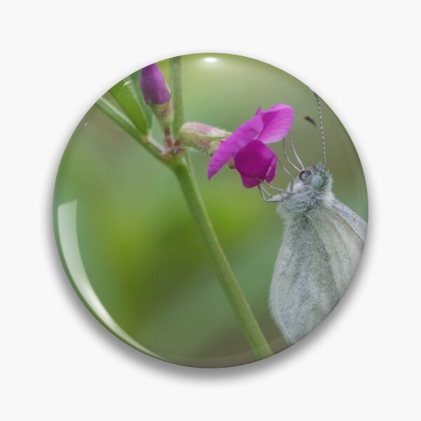 Item preview, Wood White designed and sold by LaurenTucker.