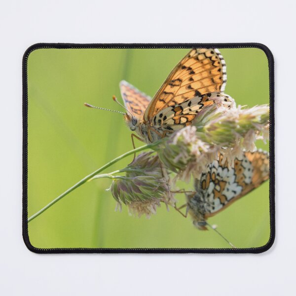 Item preview, Glanville Fritillary designed and sold by LaurenTucker.
