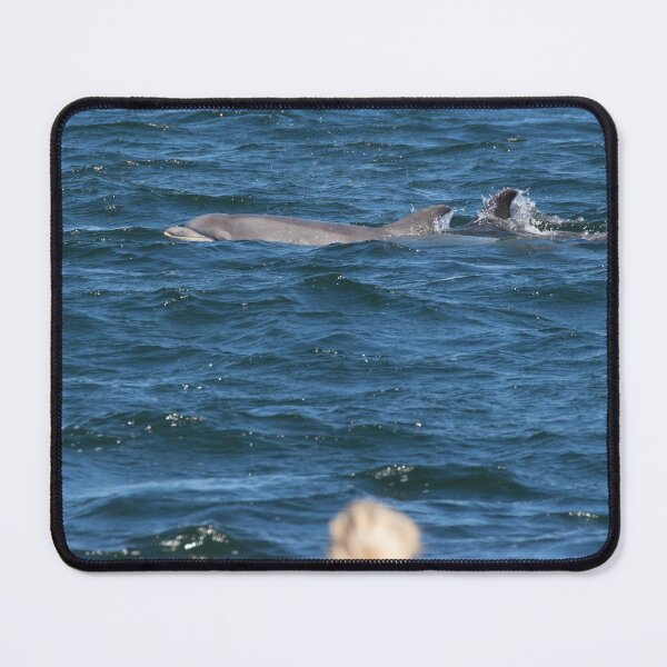 Item preview, Dolphin designed and sold by LaurenTucker.