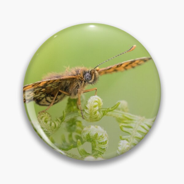 Item preview, Heath Fritillary designed and sold by LaurenTucker.