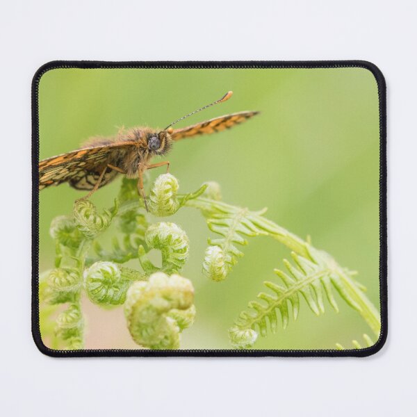 Item preview, Heath Fritillary designed and sold by LaurenTucker.