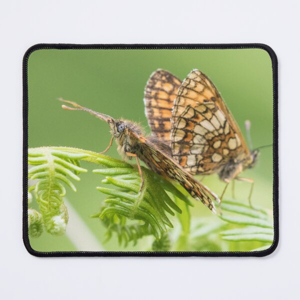 Item preview, Heath Fritillary designed and sold by LaurenTucker.
