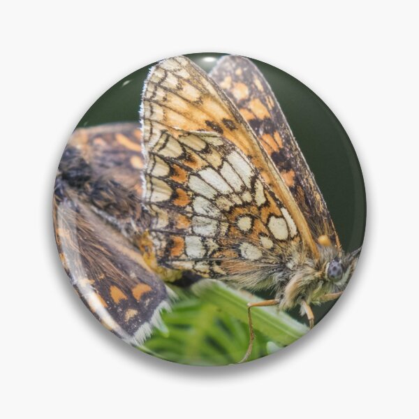 Item preview, Heath Fritillary designed and sold by LaurenTucker.