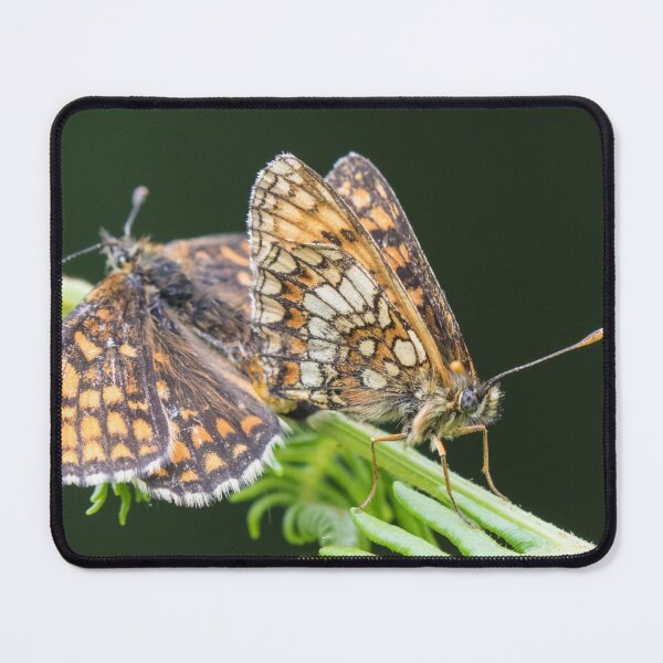 Item preview, Heath Fritillary designed and sold by LaurenTucker.