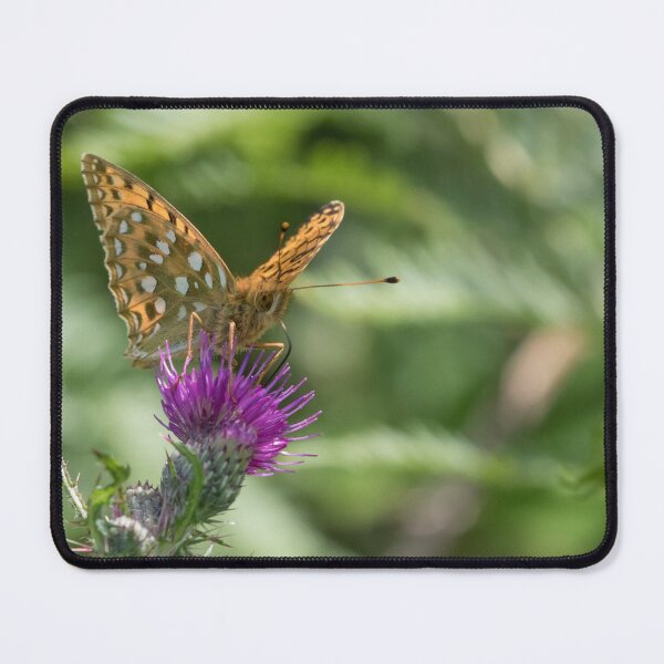 Item preview, Dark Green Fritillary designed and sold by LaurenTucker.