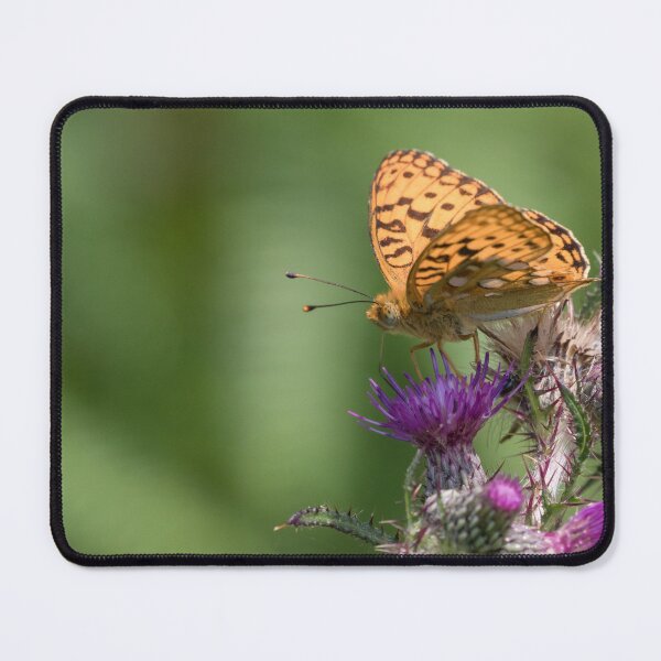 Item preview, High Brown Fritillary designed and sold by LaurenTucker.