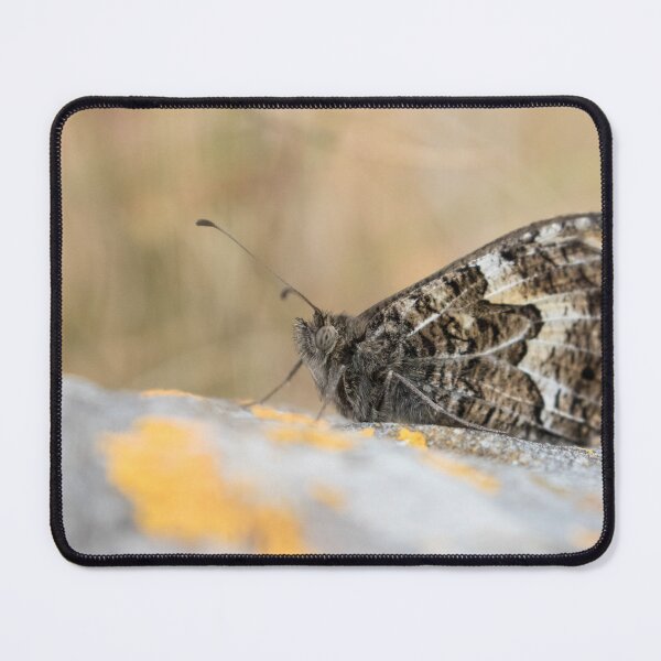 Item preview, Grayling designed and sold by LaurenTucker.