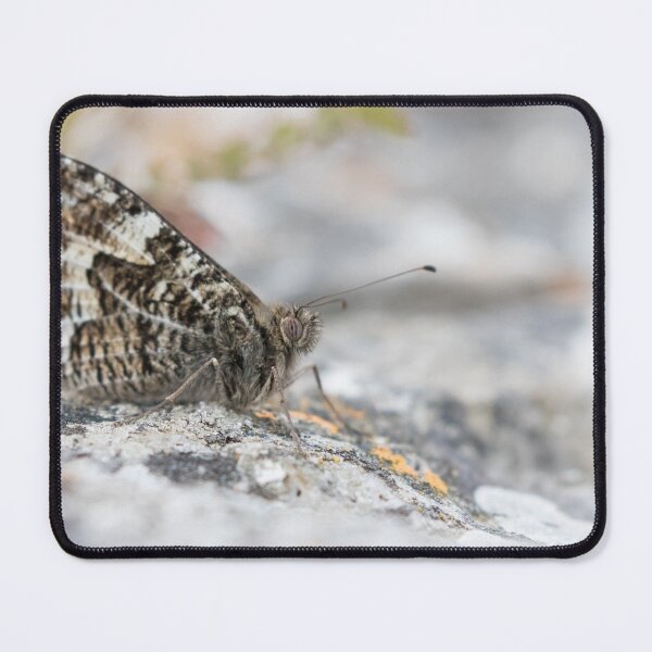 Item preview, Grayling designed and sold by LaurenTucker.