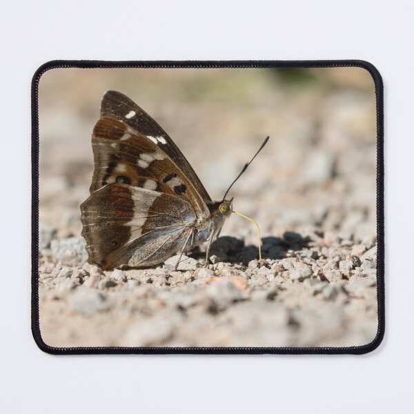 Item preview, Purple Emperor designed and sold by LaurenTucker.