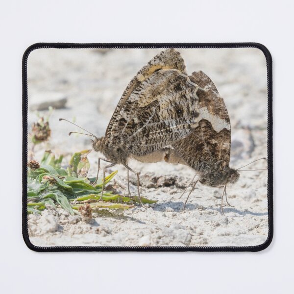 Item preview, Grayling designed and sold by LaurenTucker.