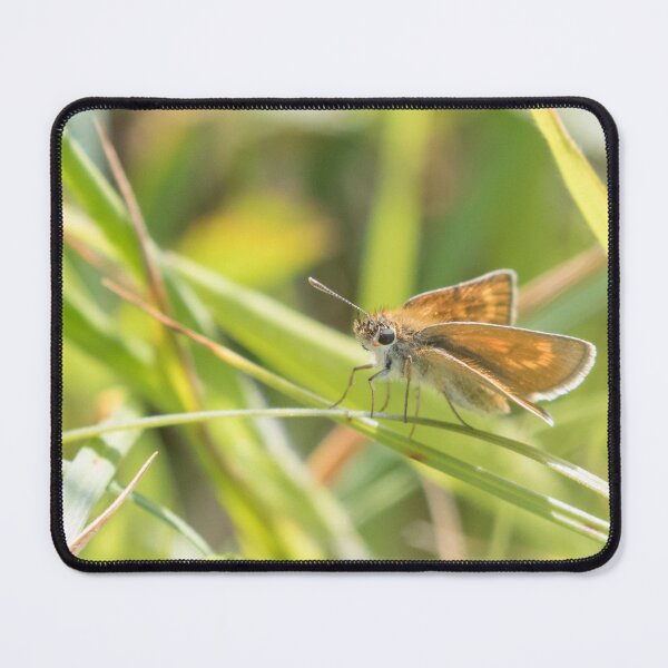 Item preview, Lulworth Skipper designed and sold by LaurenTucker.