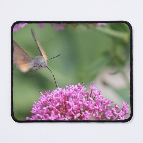 Item preview, Hummingbird Hawk Moth designed and sold by LaurenTucker.