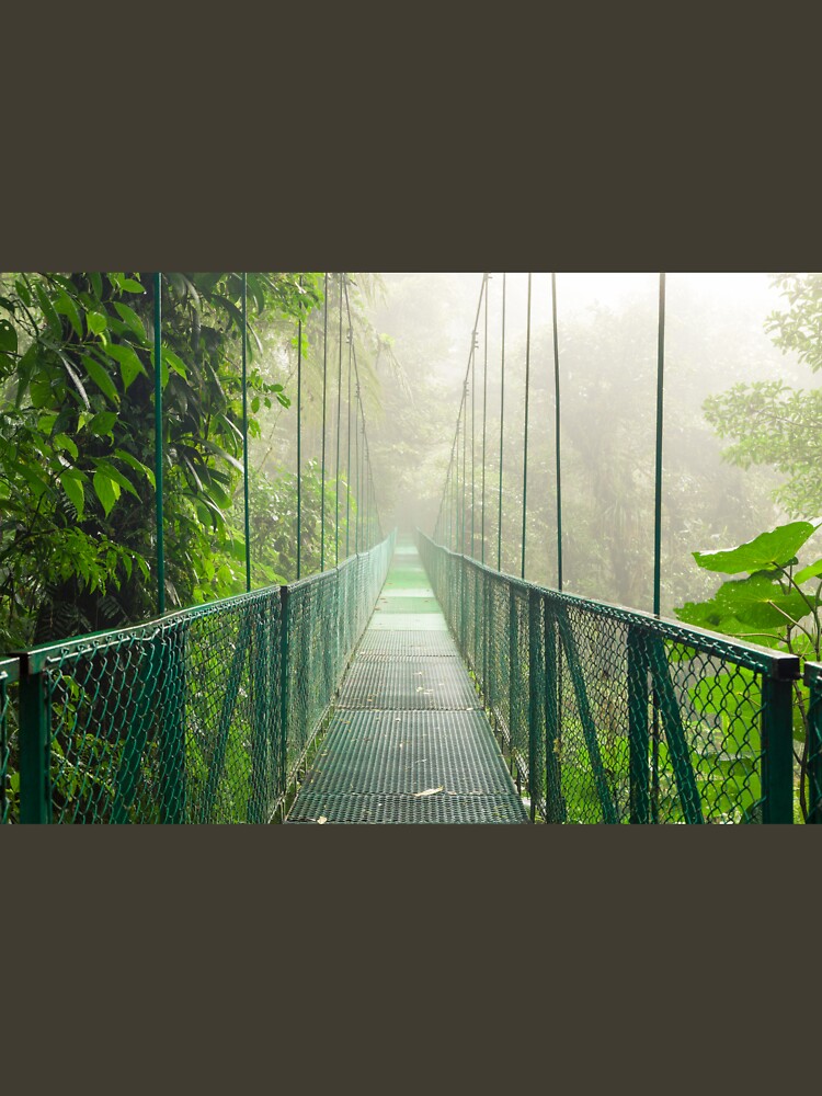 Suspension bridge in rainforest by Juhku