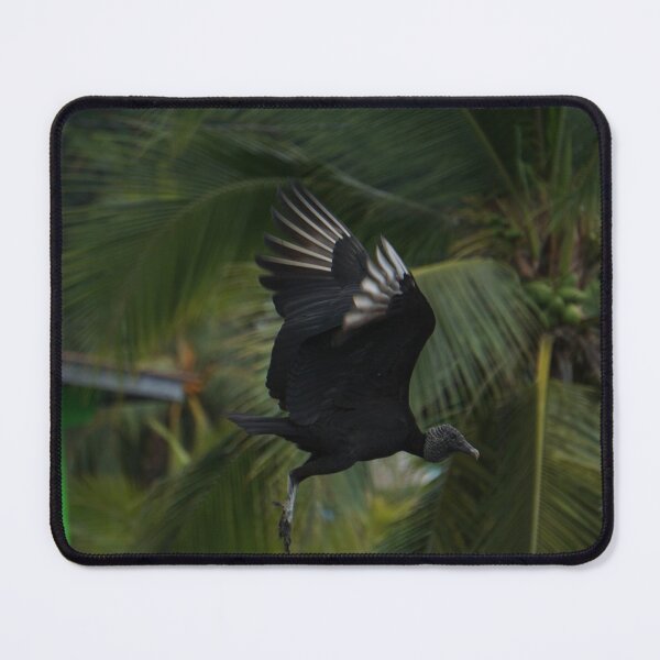 Flying vulture Mouse Pad