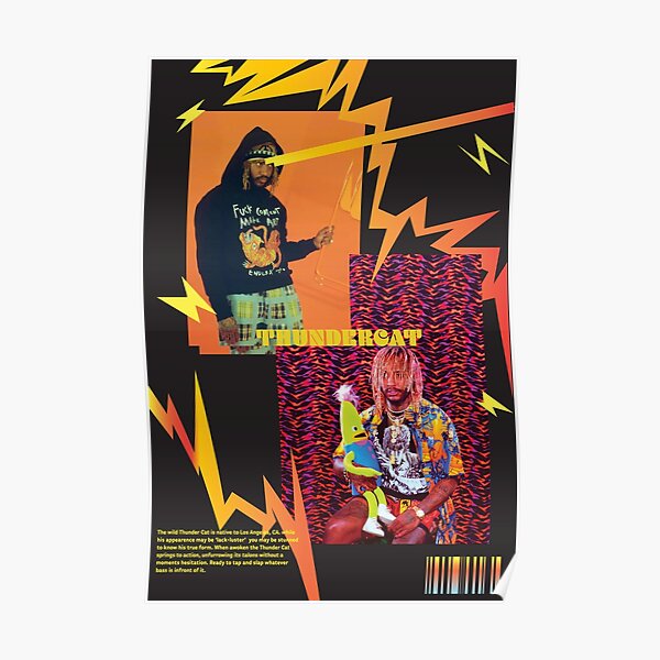 THUNDER CAT Poster