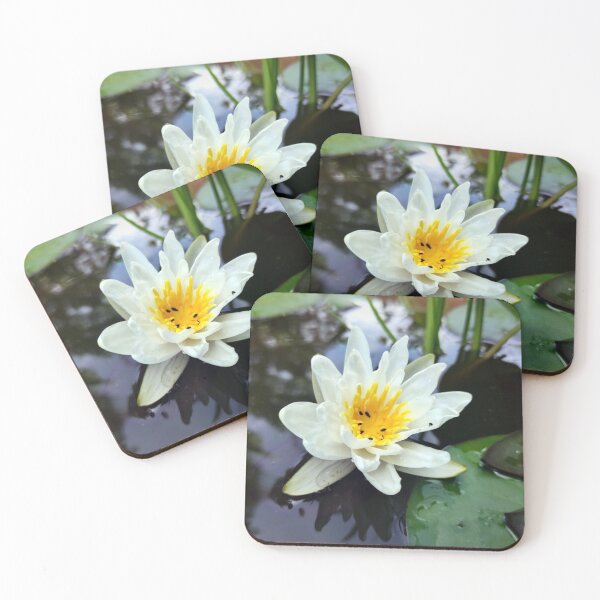 Item preview, Little water lily designed and sold by Gourmetkater.