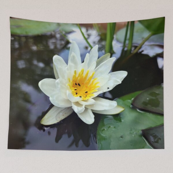 Item preview, Little water lily designed and sold by Gourmetkater.