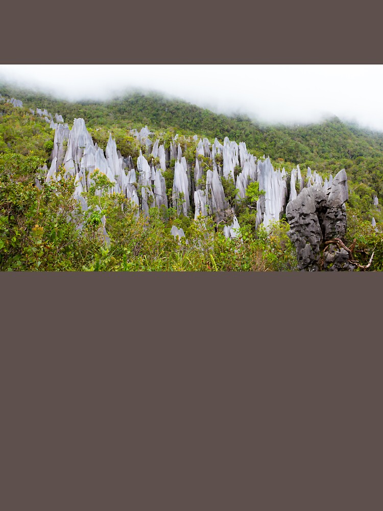 Limestone pinnacles at gunung mulu national park by Juhku