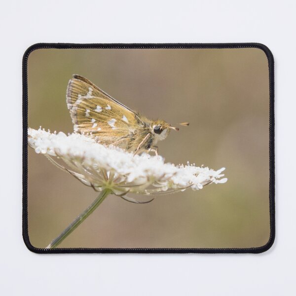 Item preview, Silver Spotted Skipper designed and sold by LaurenTucker.