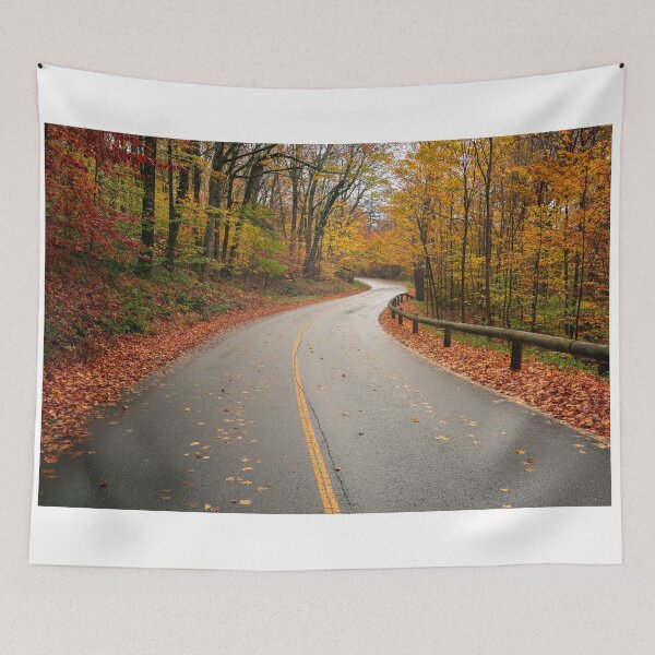 Item preview, Forest Foliage in Autumn designed and sold by J. S. Wolf Photography.
