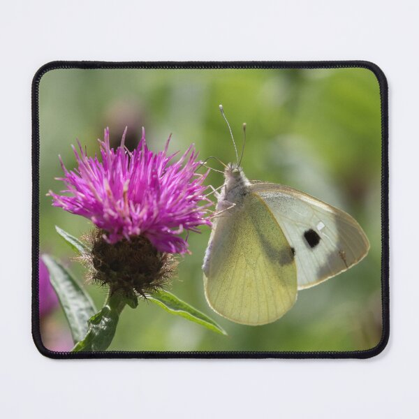 Item preview, Large White designed and sold by LaurenTucker.