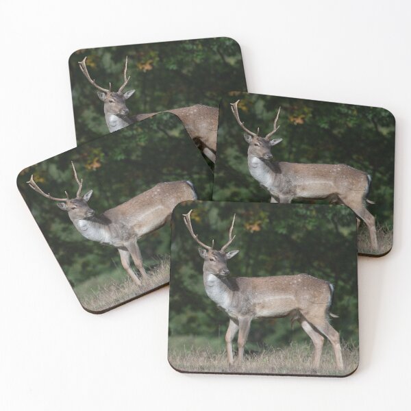 Item preview, Fallow Deer Buck designed and sold by DonMc.