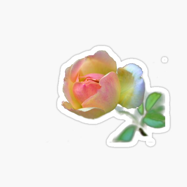Pretty Pink and Yellow Rose on Green Sticker