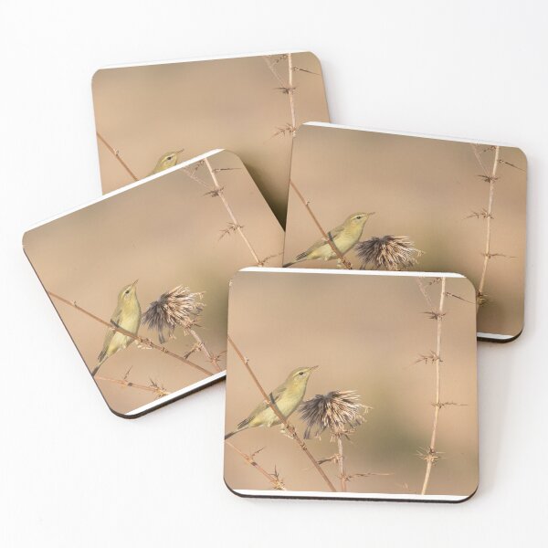 Item preview, Eastern Olivaceous Warbler designed and sold by LaurenTucker.