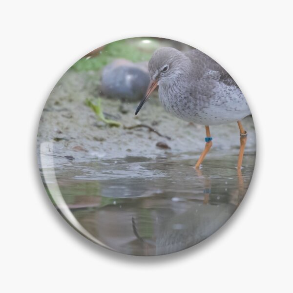 Item preview, Redshank designed and sold by LaurenTucker.