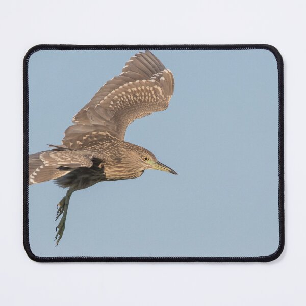Item preview, Black Crowned Night Heron designed and sold by LaurenTucker.