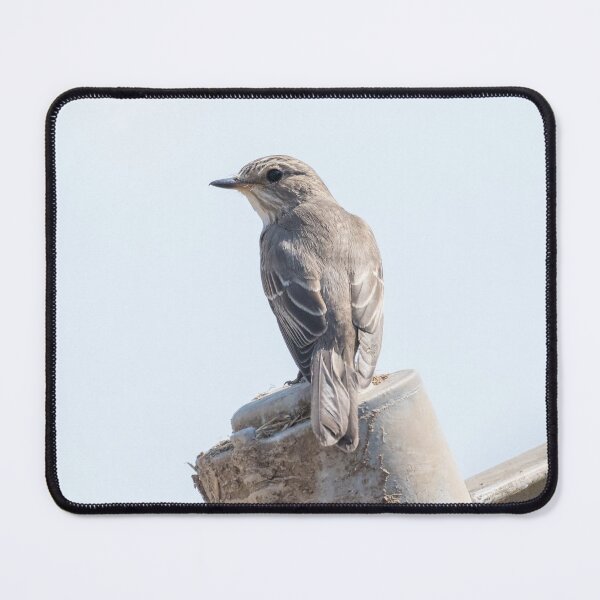 Item preview, Spotted Flycatcher designed and sold by LaurenTucker.