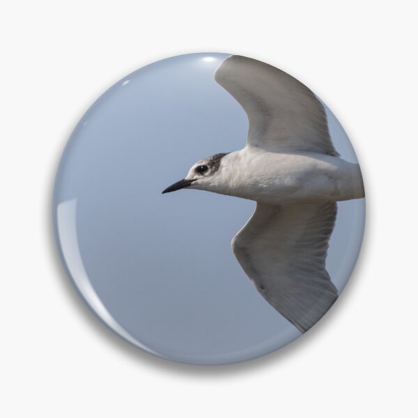 Item preview, Whiskered Tern designed and sold by LaurenTucker.