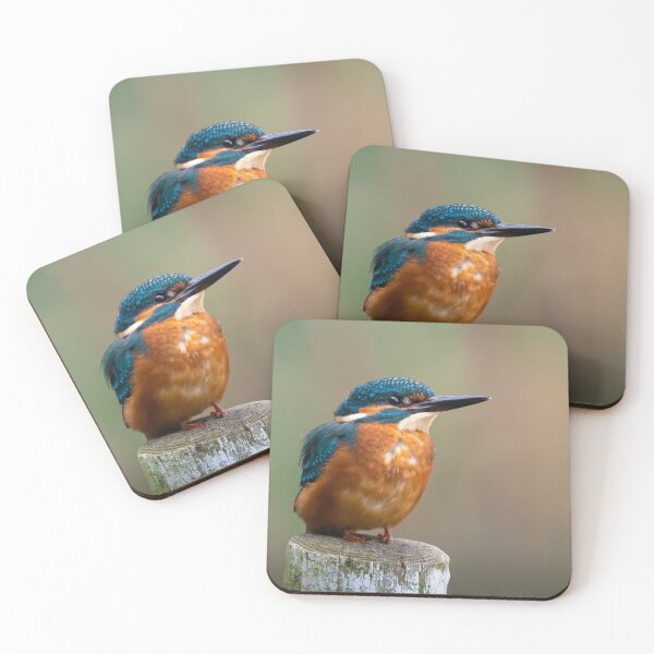 Item preview, Kingfisher designed and sold by JackBranscombe.