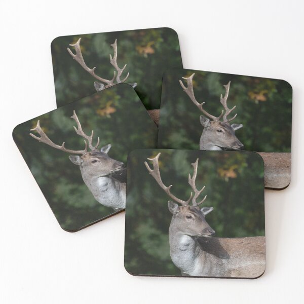 Item preview, Fallow Deer in Close Up designed and sold by DonMc.