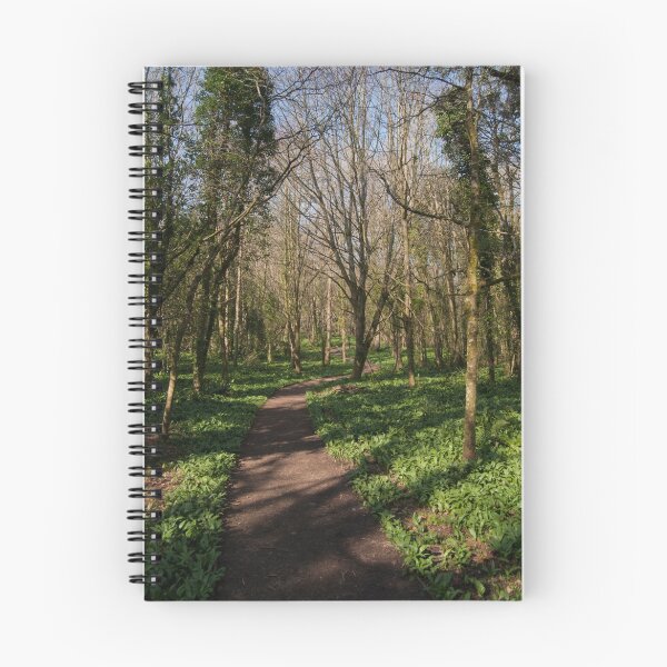 Item preview, Stackpole Estate Woodland Walk designed and sold by JlocksJedi.